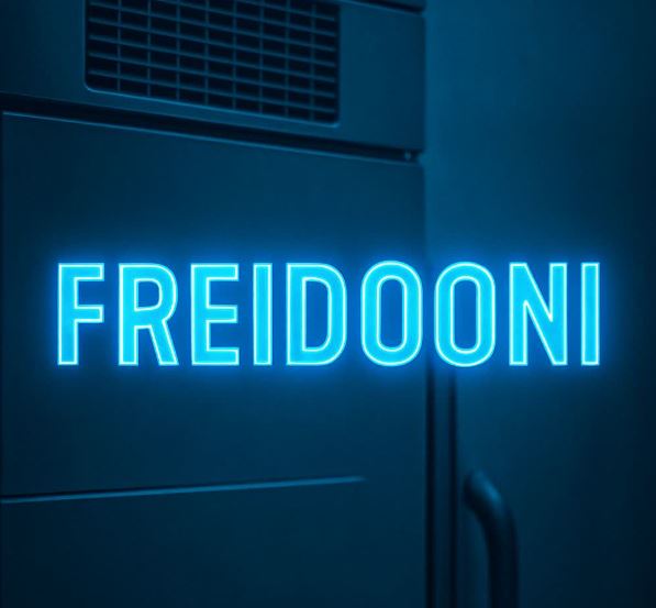 نمایندگی یخچال فریزر صنعتی فریدونی در تهران